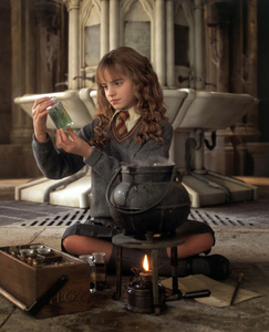 harry_potter_and_the_chamber_of_secrets_008