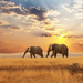 photo-of-a-beautiful-landscape-with-elephants-in-the-distance-hd-