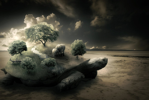 hd-wallpaper-with-surreal-turtle-at-beach