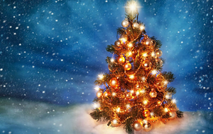 schonen-weihnachtsbaum-mit-lichtern-hd-weihnachten-hintergrund-bi