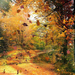 schÃ¶ne-herbst-hintergrund-mit-baumen-und-herbstlaub-hd-herbst-