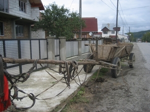 Roemenie 2008 260
