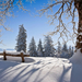 winterlandschaft-mit-viel-schnee-auf-dem-berg-und-ein-paar-baume-