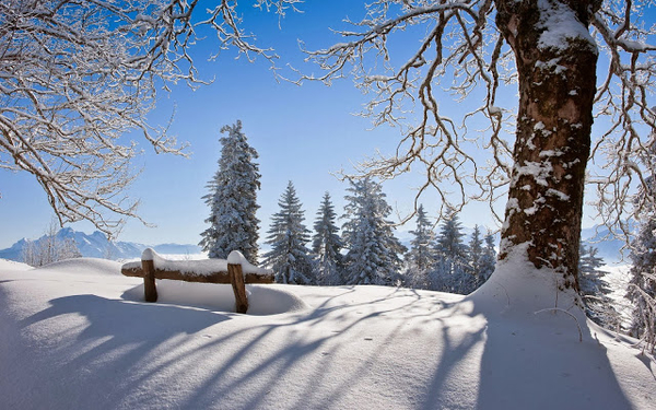 winterlandschaft-mit-viel-schnee-auf-dem-berg-und-ein-paar-baume-