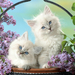 hd-katten-wallpaper-met-twee-schattige-witte-katjes-in-een-mandje