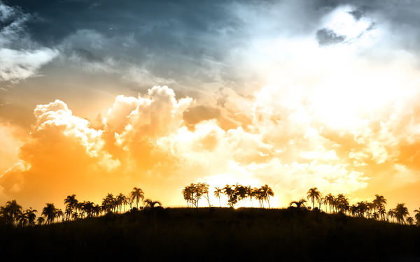 African_savannah_sunset