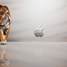 Apple_Leopard_Mac_OS
