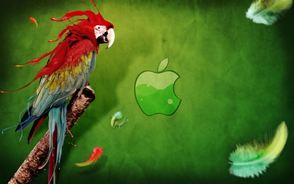 Apple_Parrot