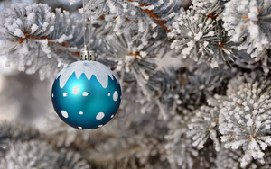 bilder-blaue-weihnachtskugel-hangt-in-der-weihnachtsbaum-hd-weihn