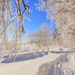 winterwunderland-bilder-mit-viel-schnee-und-baume
