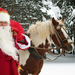 bild-von-weihnachtsmann-mit-pferd-drauÃŸen-im-schnee-mit-baumen