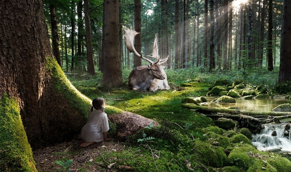 wallpaper-deer-and-little-girl-in-forest