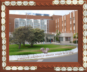 academisch ziekenhuis almeria