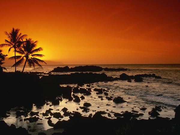Shore_Oahu_Hawaii