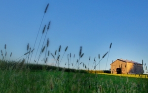 barn-2905886_960_720