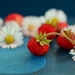 strawberries-800521_960_720