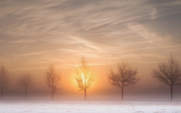 foto-prachtig-winterlandschap-met-sneeuw-bomen-zon-en-mist-hd-win