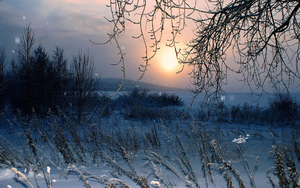 foto-van-een-winterlandschap-met-sneeuw-en-een-temperatuur-onder-