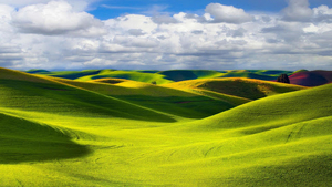hd-achtergrond-met-gras-landschap-met-heuvels-hd-wallpaper