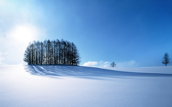 hd-sneeuw-wallpaper-met-een-winter-landschap-bedekt-met-een-dikke