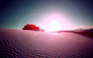 hd-woestijn-wallpaper-met-een-woestijn-met-paarse-gloed-hd-woesti