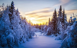 pad-tussen-de-bomen-door-bedekt-met-dikke-laag-sneeuw-hd-winter-b