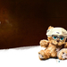 Teddy_bear