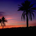 Semi_tropical_sunset,_Arizona