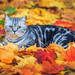 hd-wallpaper-with-a-cat-hiding-in-autumn-leaves