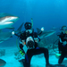 Bahamas_Diver
