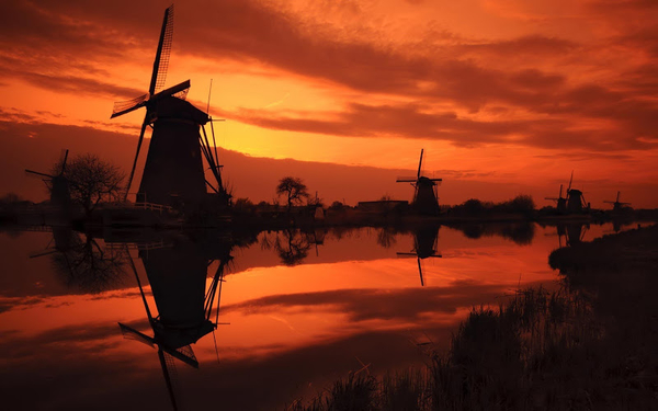 Windmills_sunset