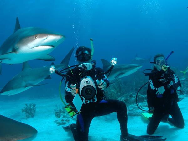 Bahamas_Diver