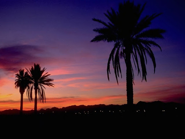 Semi_tropical_sunset,_Arizona