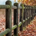 fence-posts-2331414_960_720