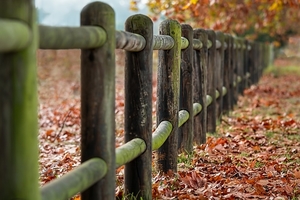 fence-posts-2331414_960_720