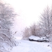winter-2553986_960_720
