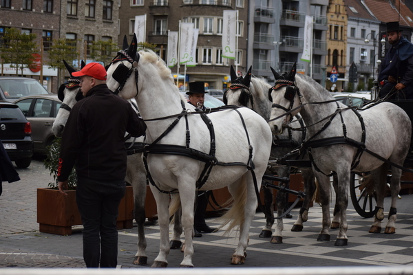 Roeselare-Sinterklaas-18-11-2017-3