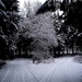 winter-2929034_960_720