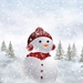 christmas-wallpapers-backgrounds-snowman+8