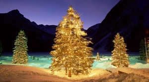 hd-wallpaper-with-christmas-trees-in-valley-with-snow