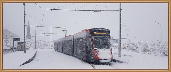 5039 lijn 11 staat in de sneeuwjacht in Scheveningen