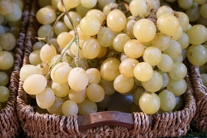 grapes-2976330_960_720