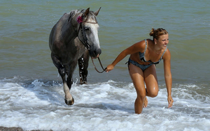 wallpaper-of-a-woman-with-horse-in-the-sea-hd-horses-wallpapers