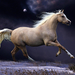 wallpaper-of-a-fast-running-brown-horse-in-the-winter-hd-horses-w