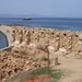 Kreta --Rethymnon  21- 09-2008 tot 5-10-2008 112