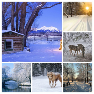 foto-van-een-wolf-buiten-tijdens-een-sneeuwstorm-hd-winter-achter