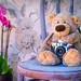 teddy-bear-1710641_960_720