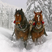 hd-winter-achtergrond-met-twee-paarden-en-een-slee-door-de-sneeuw