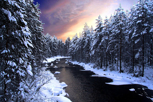 hd-winter-achtergrond-met-veel-bomen-langs-een-rivier-hd-winter-w