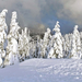 hd-winter-achtergrond-met-winter-in-de-bergen-met-bomen-bedekt-me